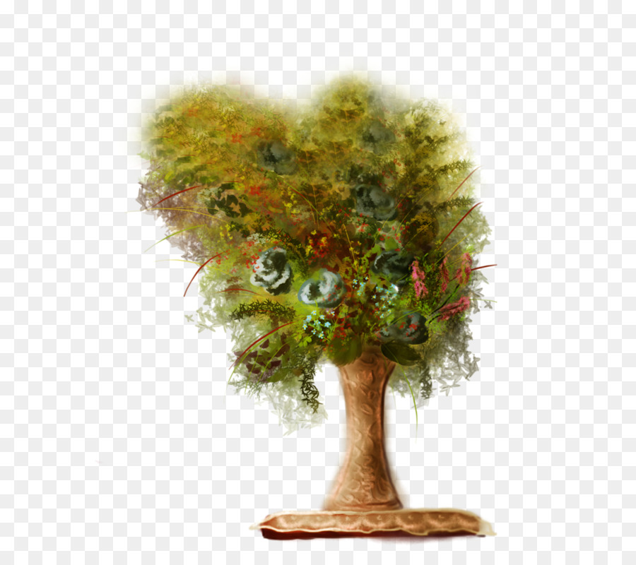 شجرة，دائمة الخضرة PNG
