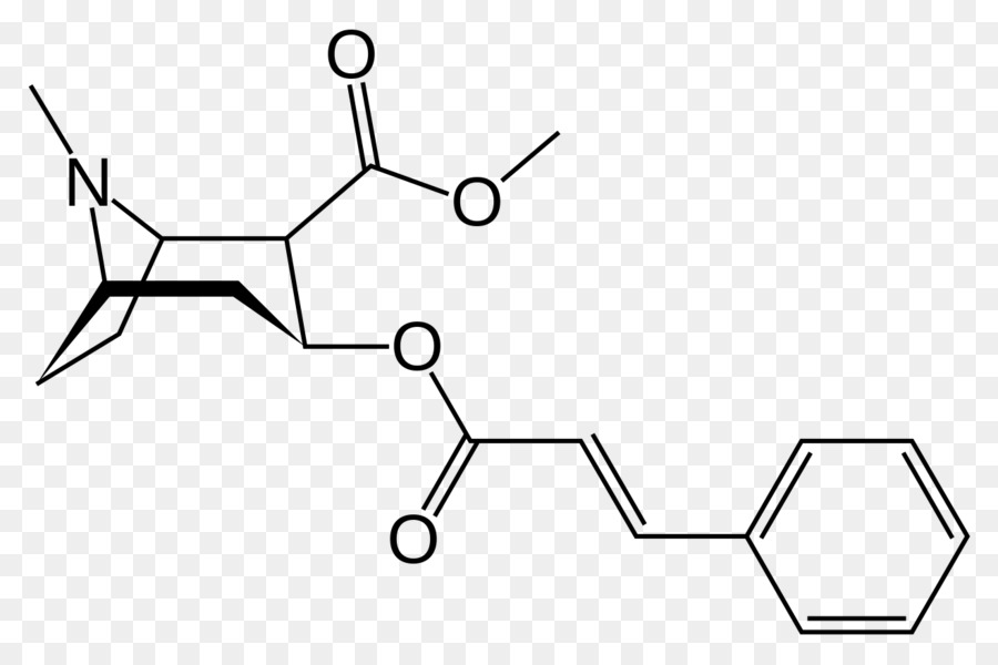 Methylecgonine سينامات，Tropane PNG