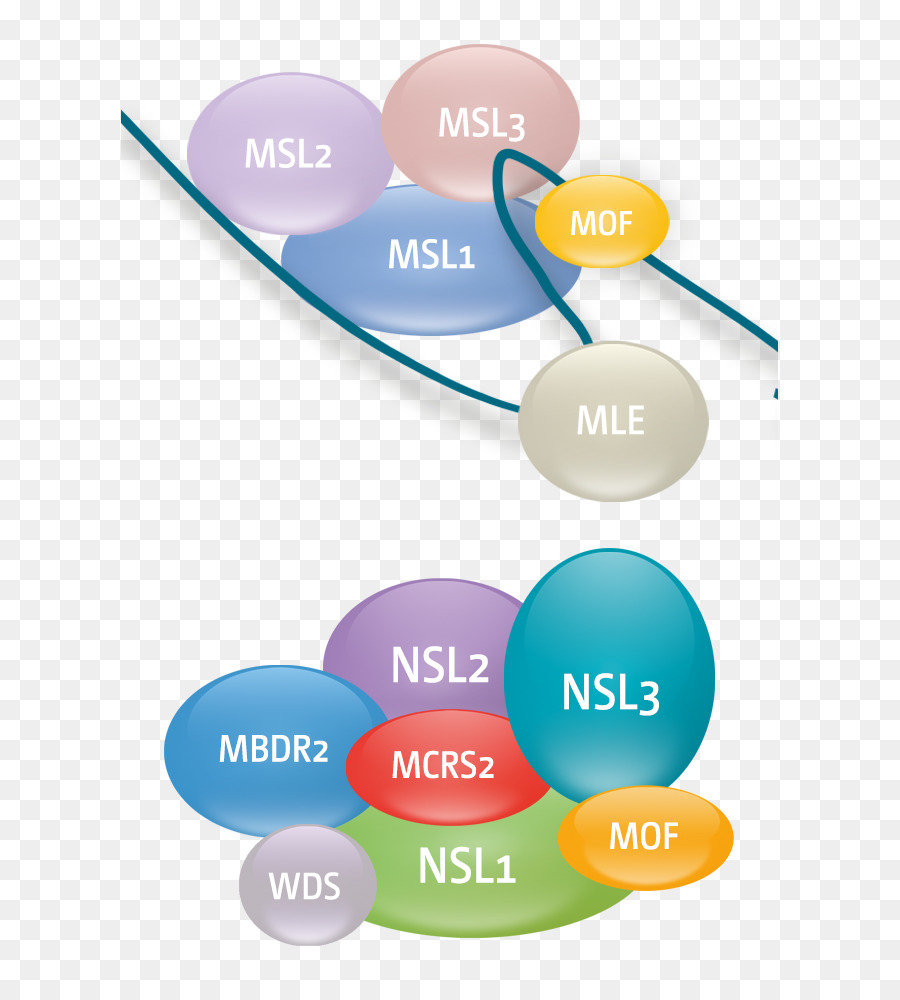 معهد ماكس بلانك Immunobiology و التخلق，ماكس بلانك PNG