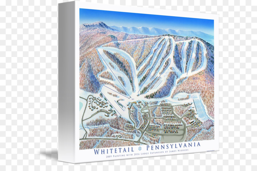 ذو الذيل الأبيض منتجع للتزلج，معرض التفاف PNG