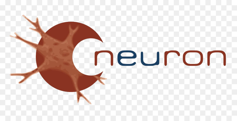 الخلايا العصبية，علم الأعصاب PNG