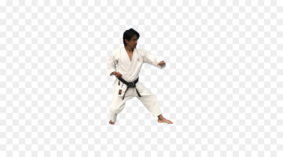 الكاراتيه，Dobok PNG