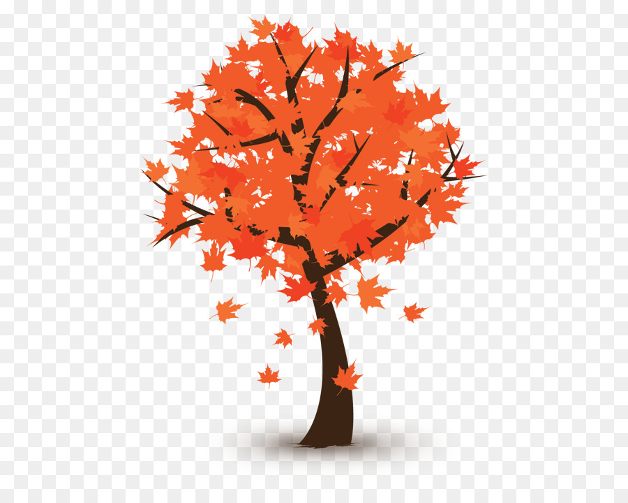 الخريف，شجرة PNG