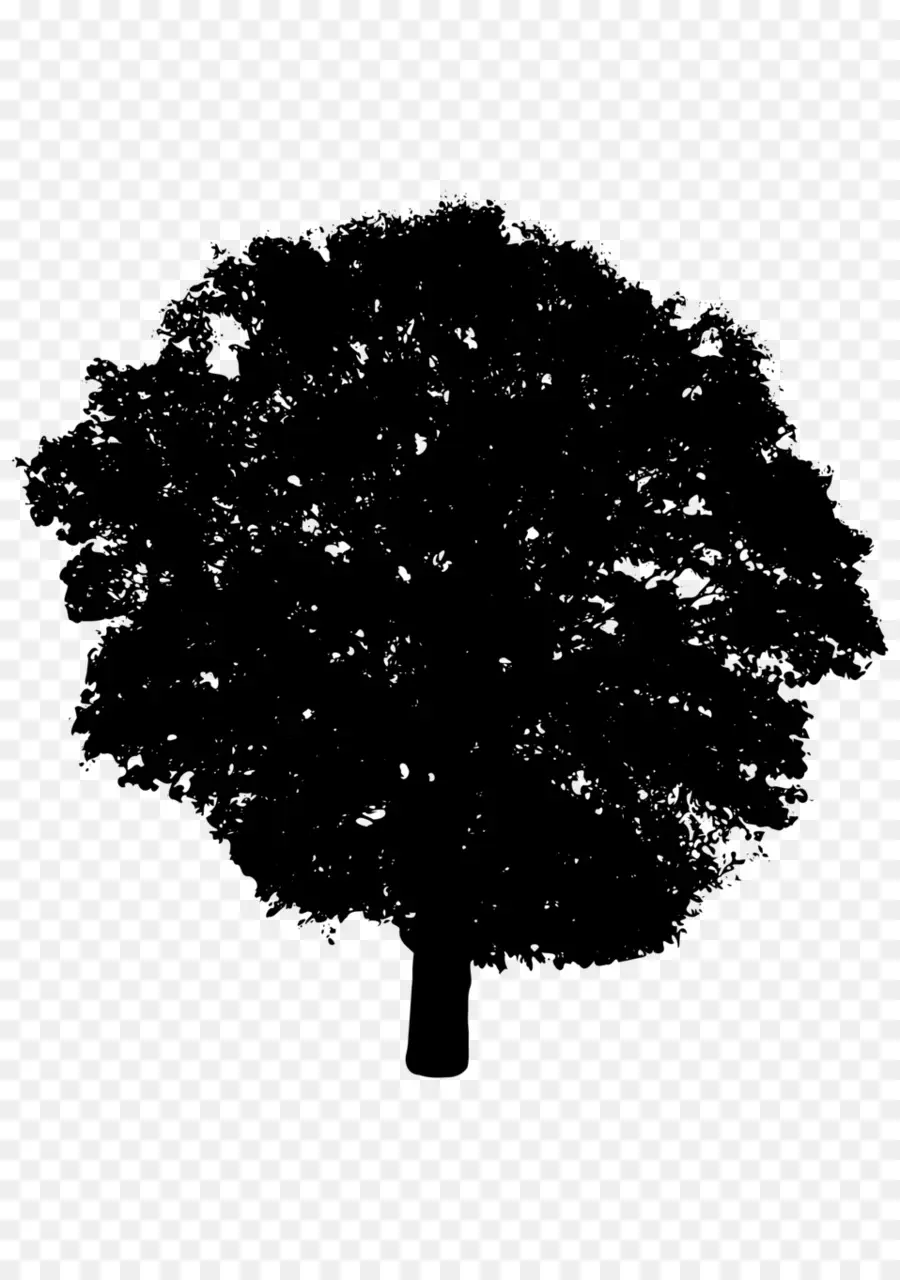 شجرة，أيقونات الكمبيوتر PNG