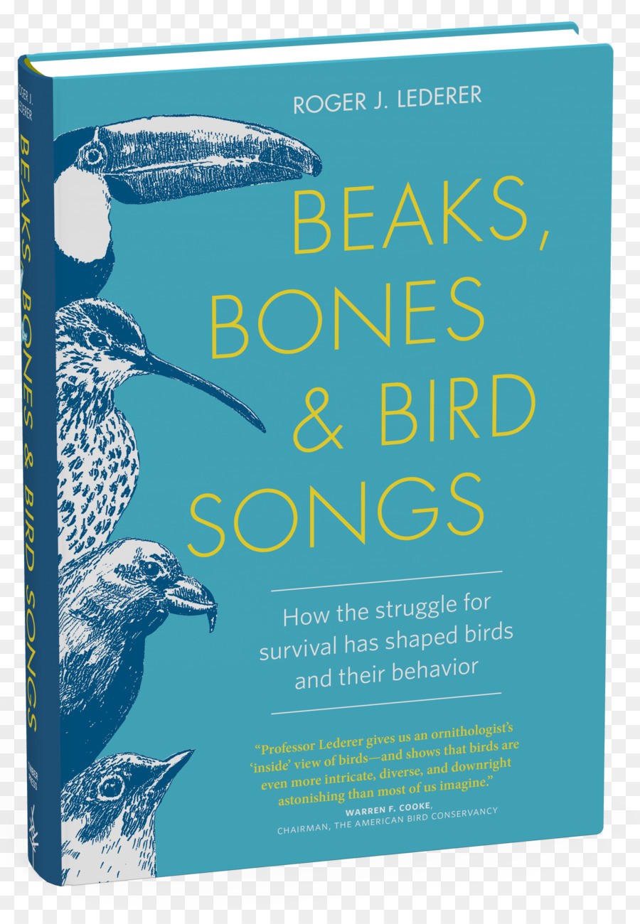 مناقير عظام الطيور الأغاني كيفية النضال من أجل البقاء على قيد الحياة وقد شكل الطيور و سلوكهم，الطيور PNG