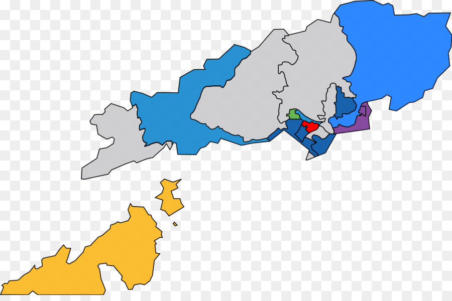 مجلس مقاطعة تسوين وان，مجالس المقاطعات في هونغ كونغ PNG