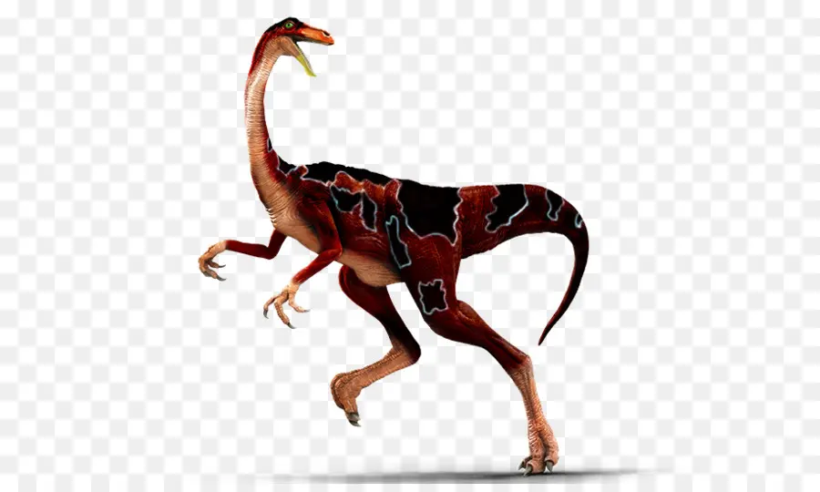 ديناصور الملك，Gallimimus PNG