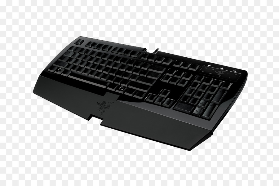 لوحة مفاتيح الكمبيوتر，الماسح Arctosa PNG