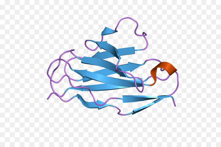 خيوط الوسيطة，الدبقية Fibrillary الحمضية البروتين PNG