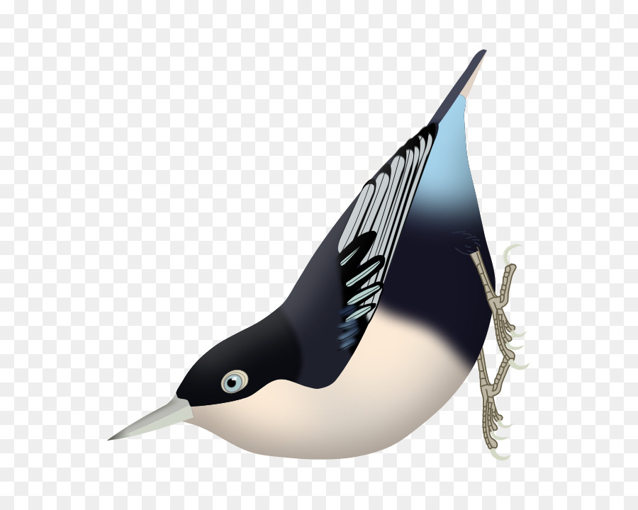 الطيور，Nuthatch PNG