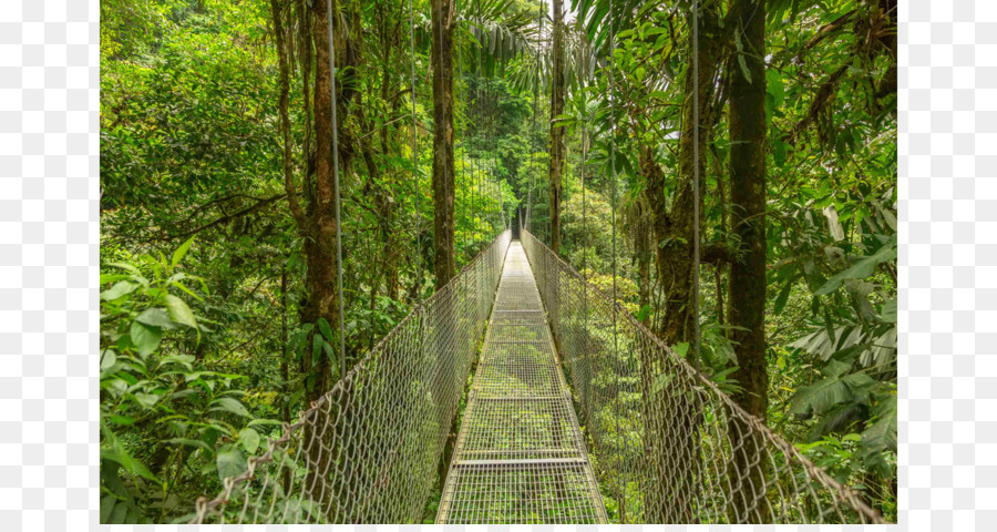 بركان أرينال，الأسهم التصوير PNG