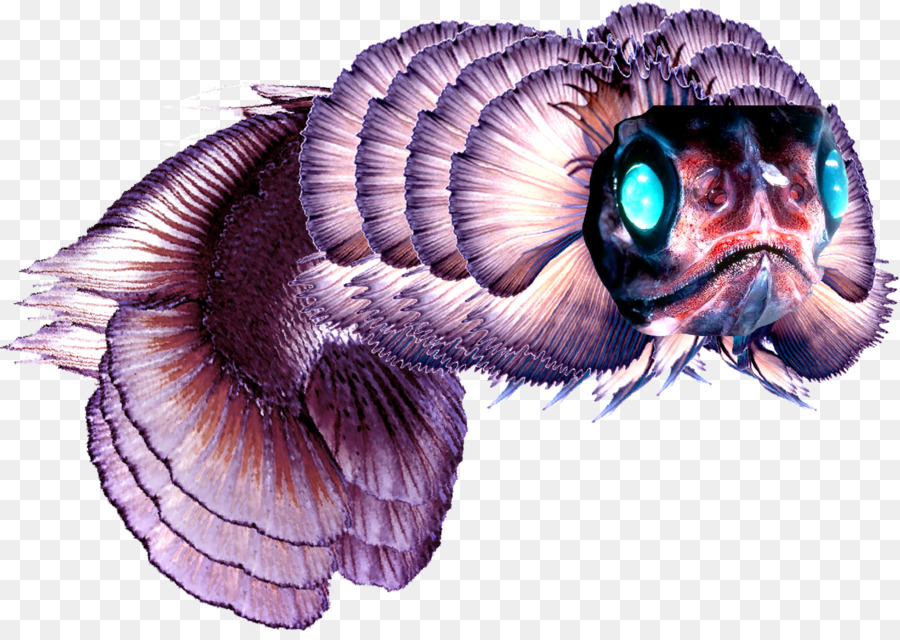 اللافقاريات，Lanternfish PNG