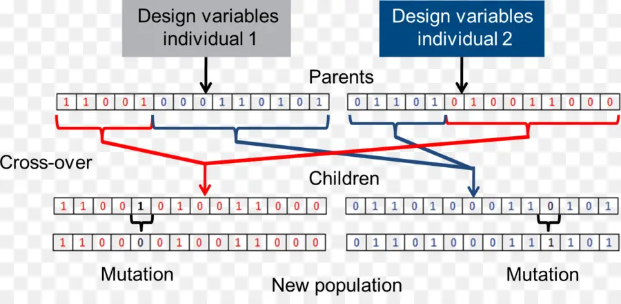الخوارزمية الجينية，كروس PNG