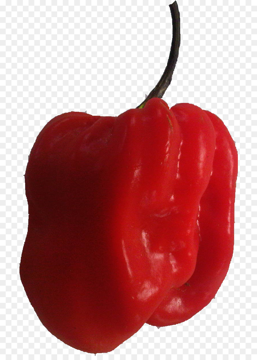 Habanero，تباسكو الفلفل PNG