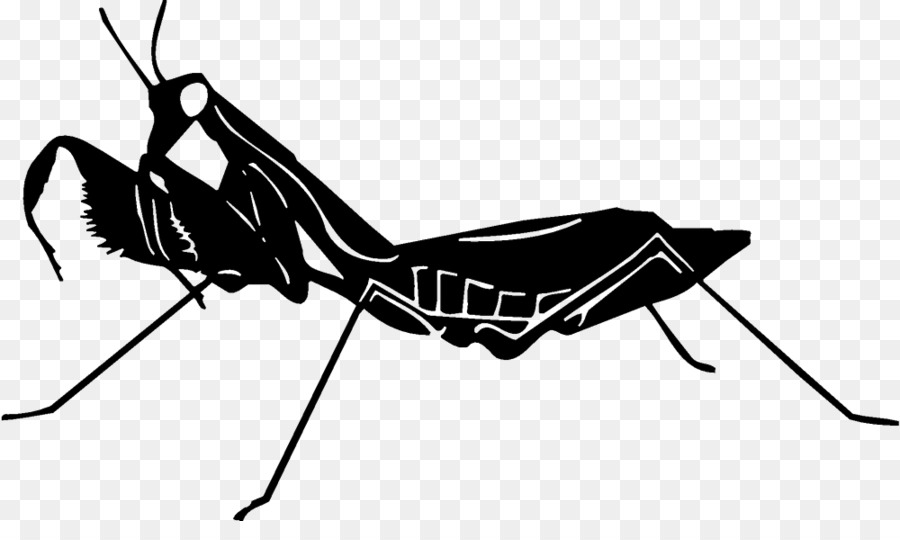 الحشرات，صورة ظلية ، PNG
