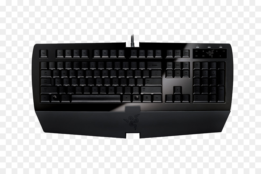 لوحة مفاتيح الكمبيوتر，الماسح Arctosa PNG