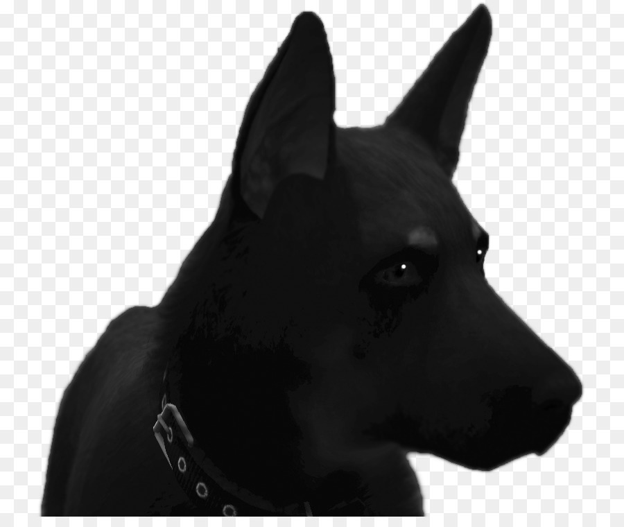 الكلب تولد，Schipperke PNG