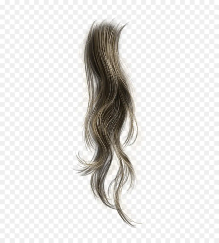 الشعر，الشعر البني PNG