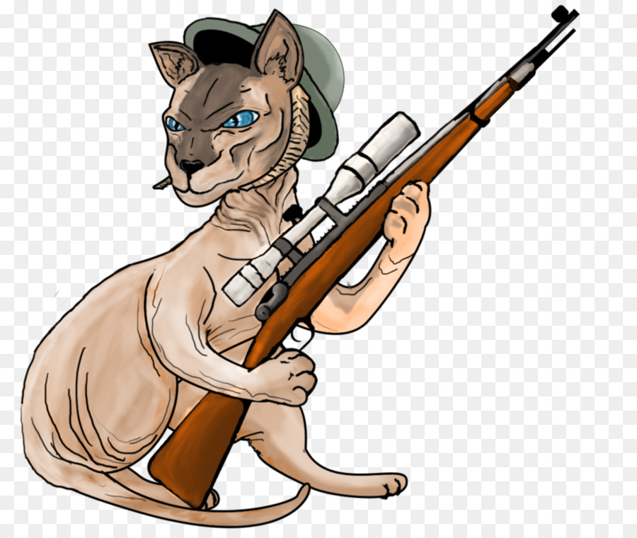 جيش الولايات المتحدة قناص المدرسة，المفتوحان القطط PNG