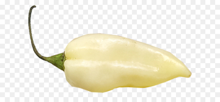 Habanero，الفلفل الحار مع اللحم PNG