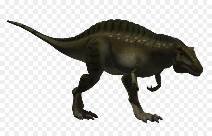 Tyrannosaurus，Acrocanthosaurus PNG