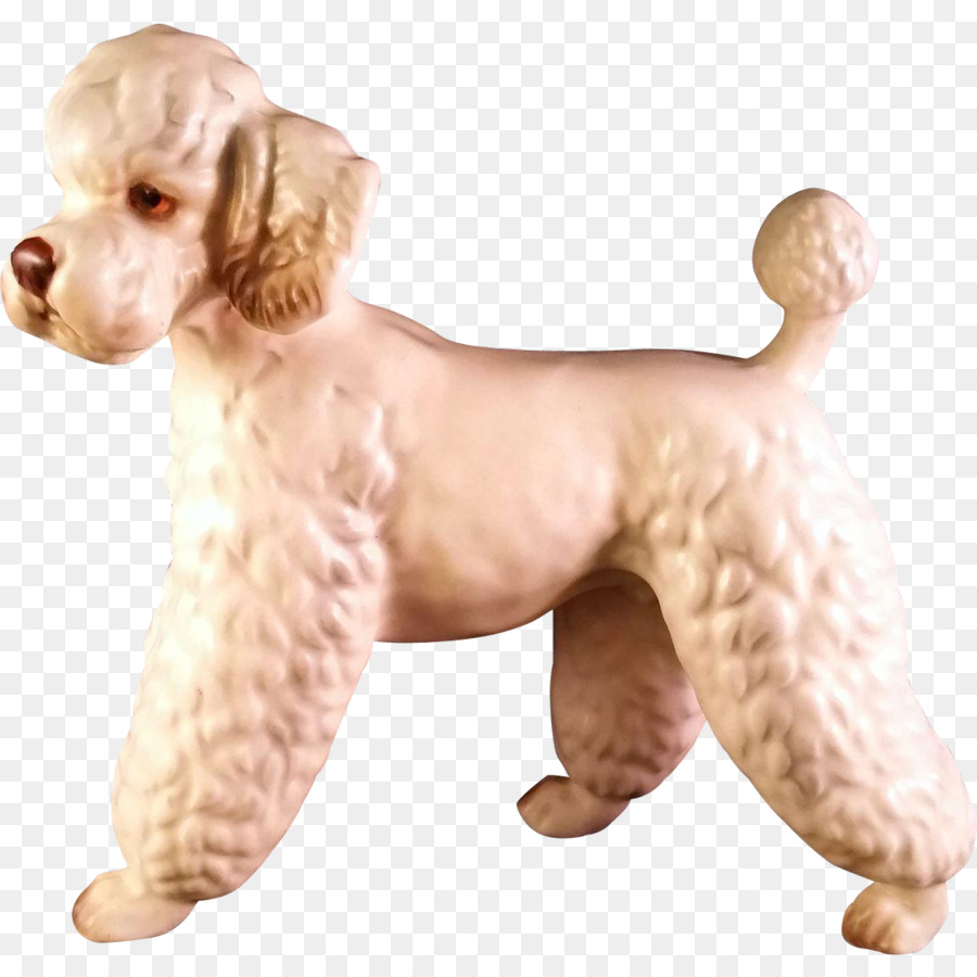 كلب القياسية，مصغر كلب PNG