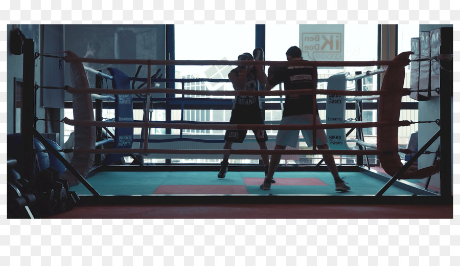 حلقات الملاكمة，الملاكمة PNG