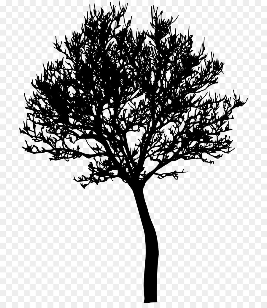 شجرة，Treesize PNG