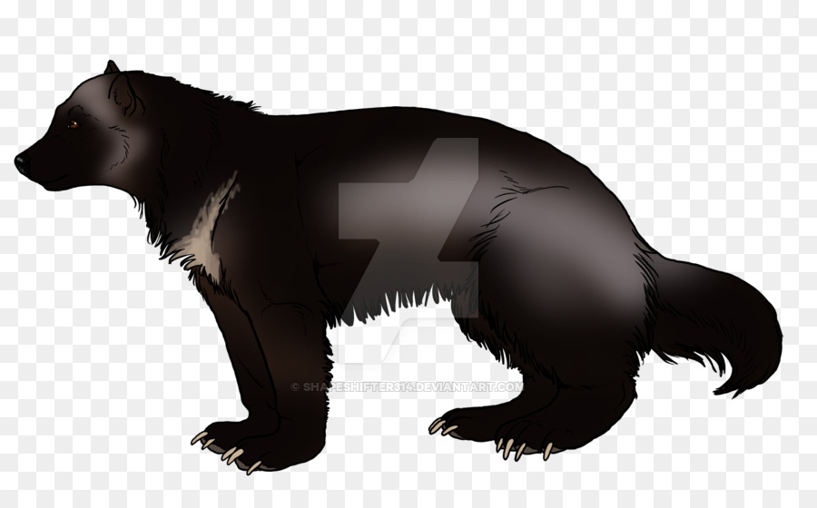 الدب，Mustelids PNG