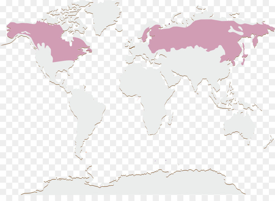 العالم，خريطة PNG