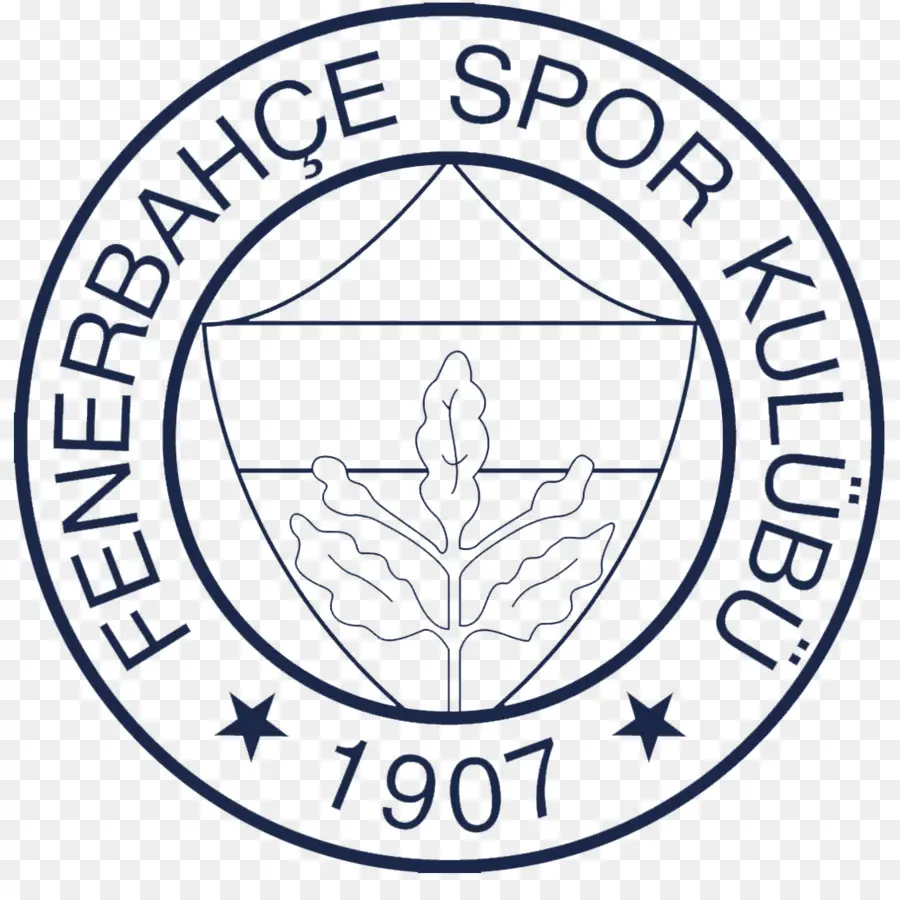 Fenerbahçe Sk，Süper Lig PNG