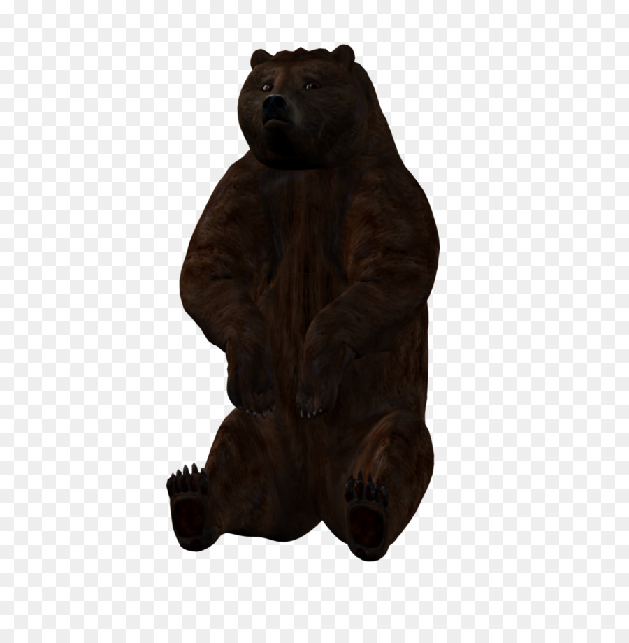 دب，الدب PNG