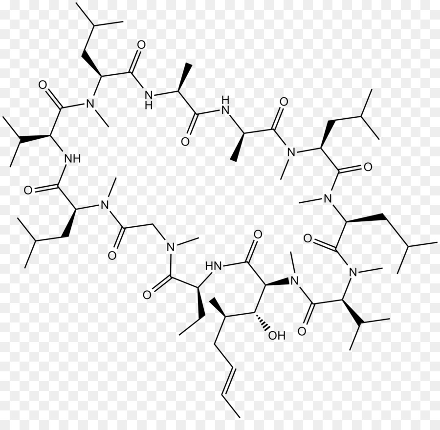 السيكلوسبورين，Cyclophilin PNG