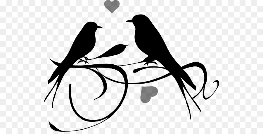 Lovebird，الطيور PNG