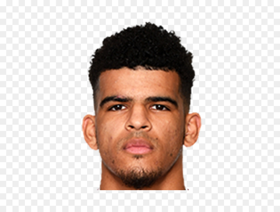 دومينيك Solanke，ليفربول PNG