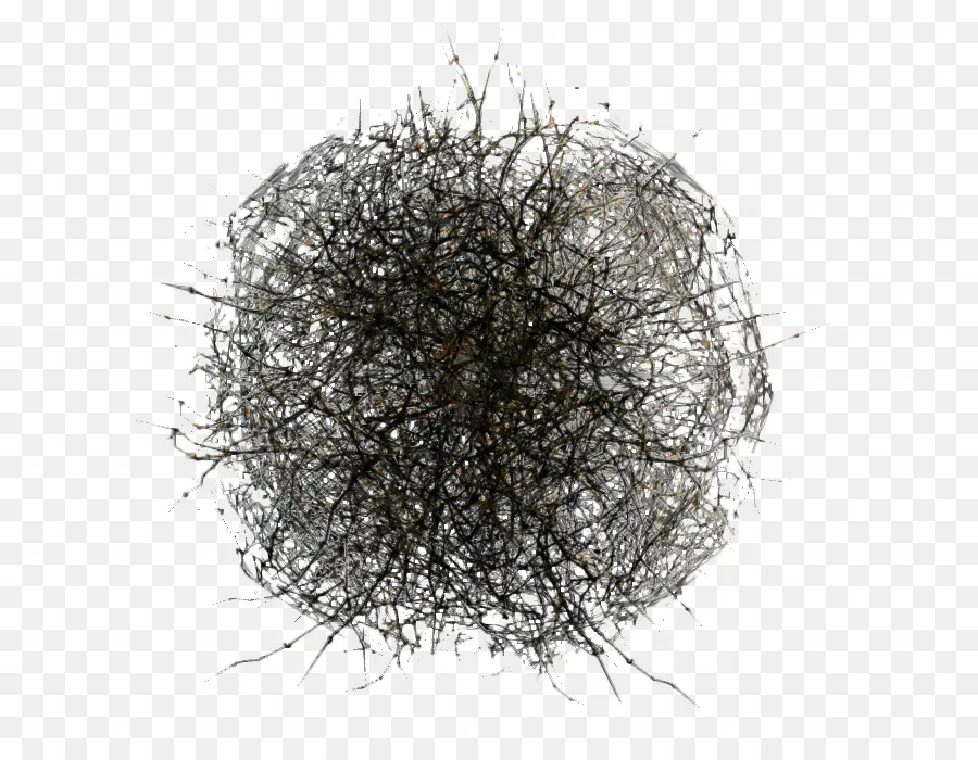 Tumbleweed，جاف PNG