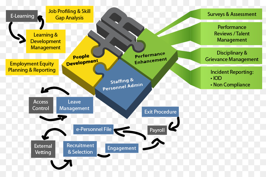 الموارد البشرية，إدارة PNG