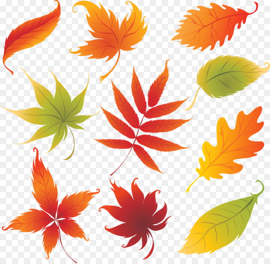 الرسم, أوراق الخريف اللون, الخريف صورة بابوا نيو غينيا