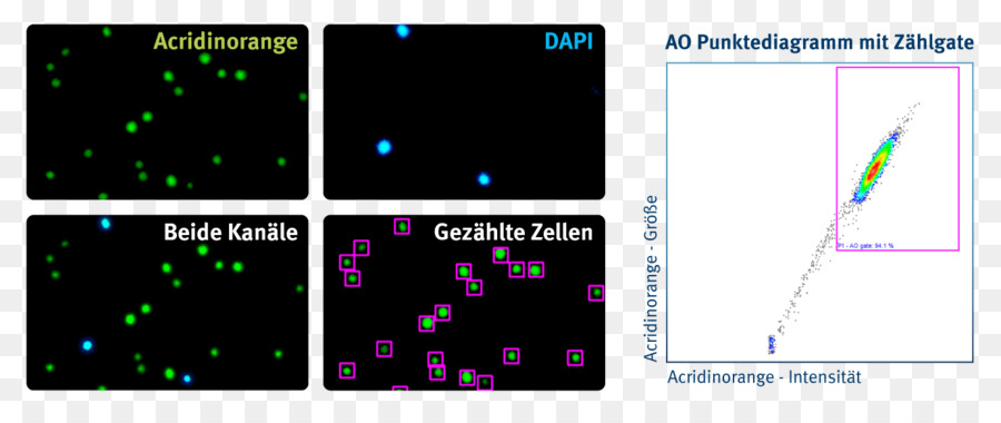 Chemometec，Viabilität PNG