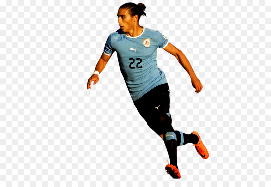 أوروغواي فريق كرة القدم الوطني，كأس العالم لكرة القدم 2014 تصفيات اتحاد أمريكا الجنوبية PNG