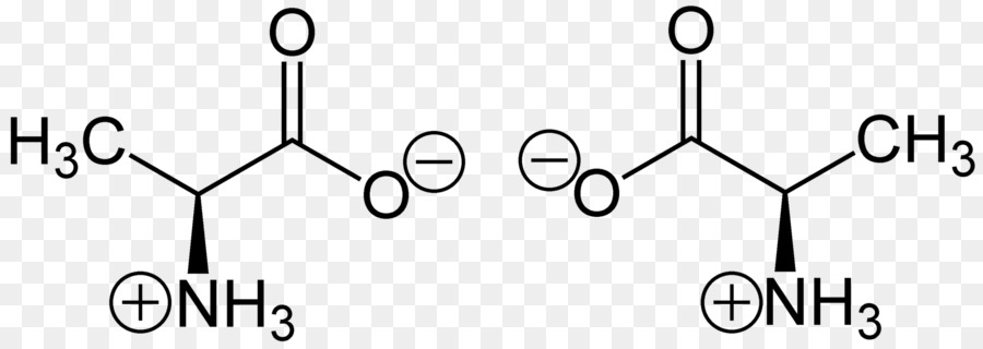 ألانين，Zwitterion PNG