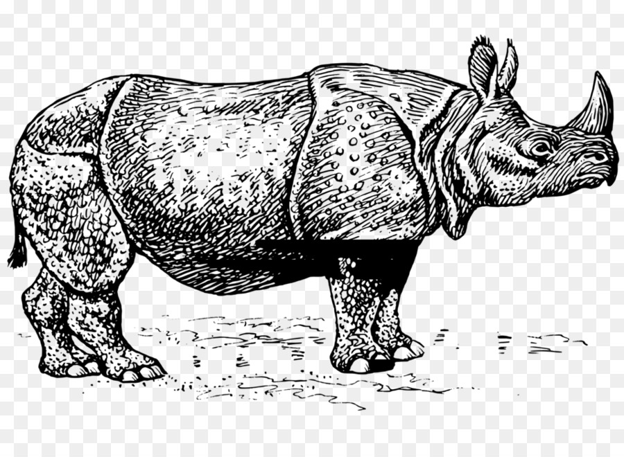 وحيد القرن，وحيد القرن ياوان PNG