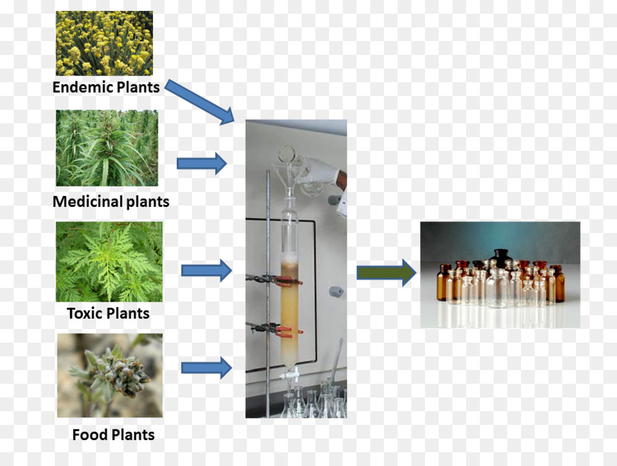 نبات，كيمياء PNG