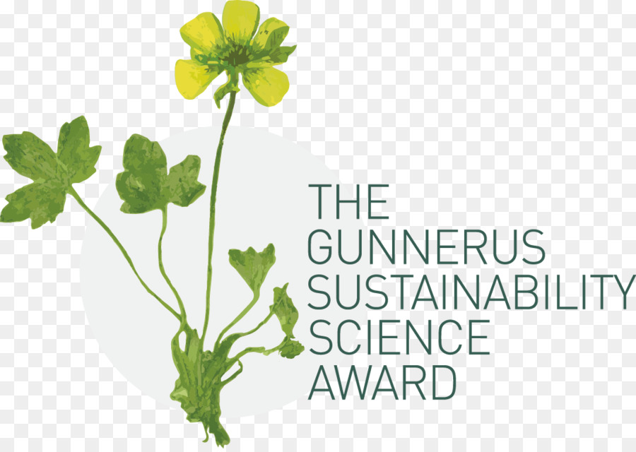 الجامعة النرويجية للعلوم والتكنولوجيا，Gunnerus جائزة الاستدامة PNG