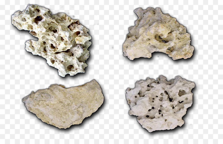 روك，الصخور الحية PNG