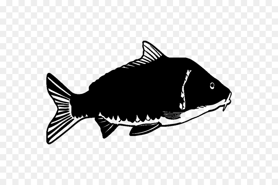 الأسماك，ملصقا PNG