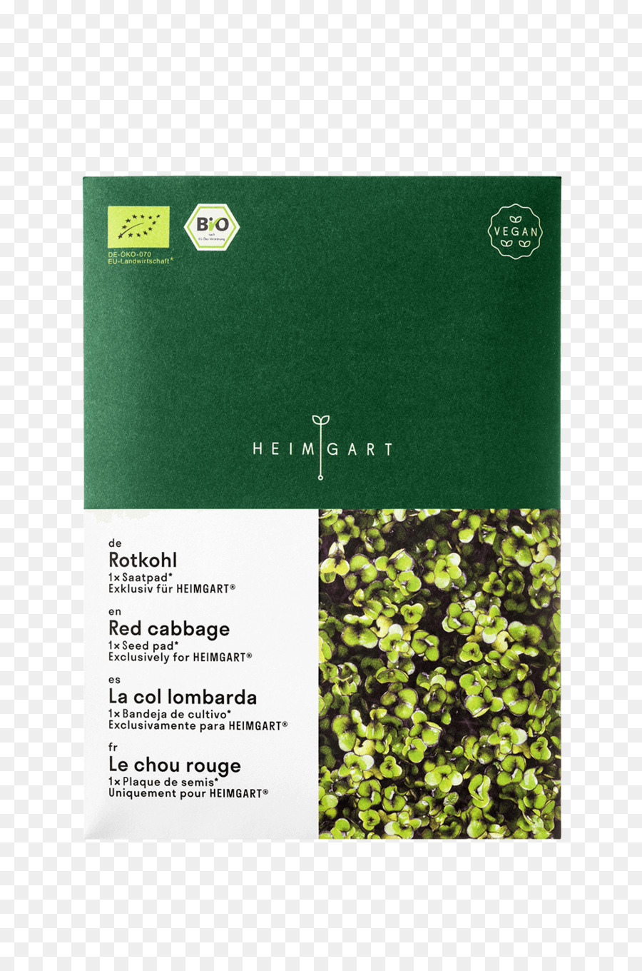 النص，Microgreen PNG