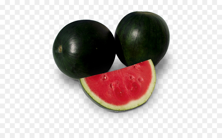 البطيخ，الجذر PNG