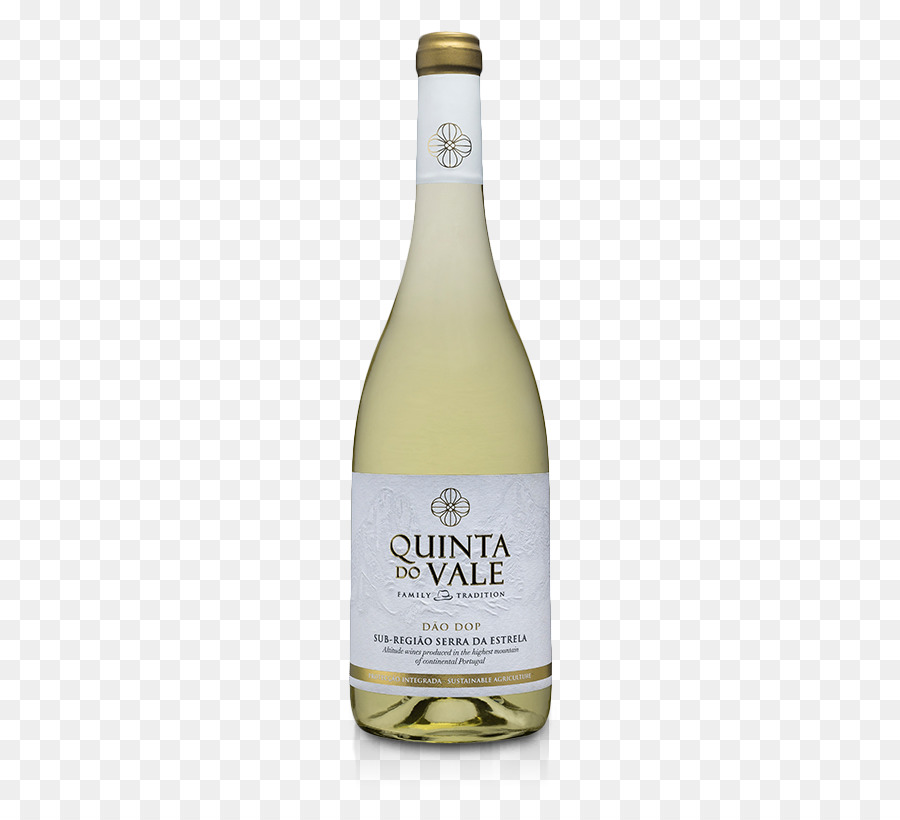 النبيذ الأبيض，خمر PNG