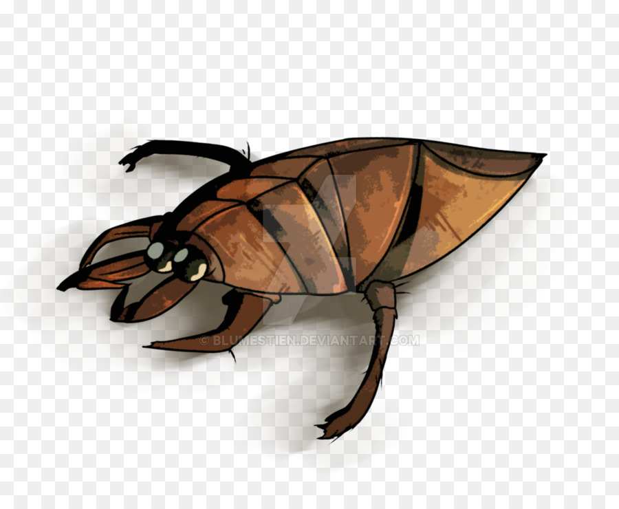 حشرة，Scarab PNG